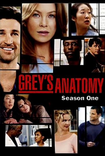 Grey's Anatomy: Season One Poster