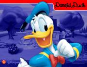The Chronological Donald Duck