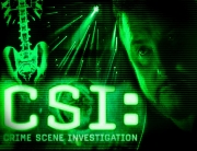 C.S.I. Crime Scene Investigation - The Complete Second Season