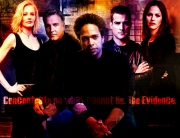 C.S.I. Crime Scene Investigation - The Complete Fourth Season