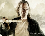 White Crane Chronicles (Kung Fu Killer)